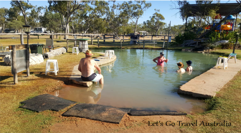 inground pool near wetlands