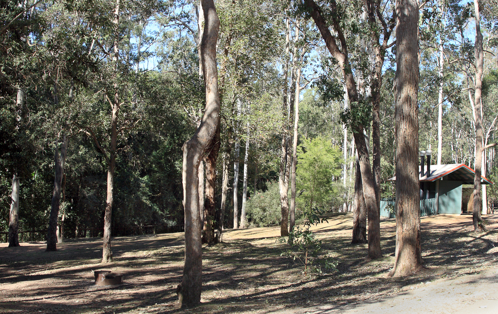 Q Charlie Moreland Campground Lets Go Travel Australia