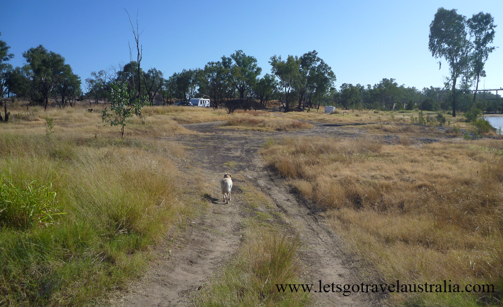 Camp-area-at-Balonne-River-St-George-2