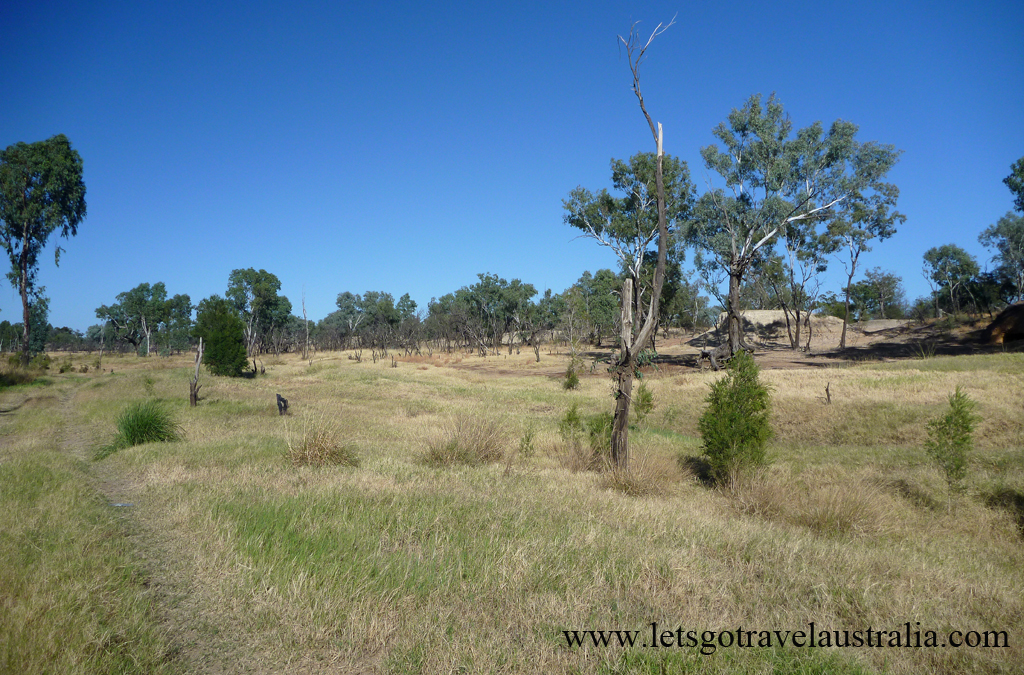 Camp-area-at-Balonne-River-St-George-4