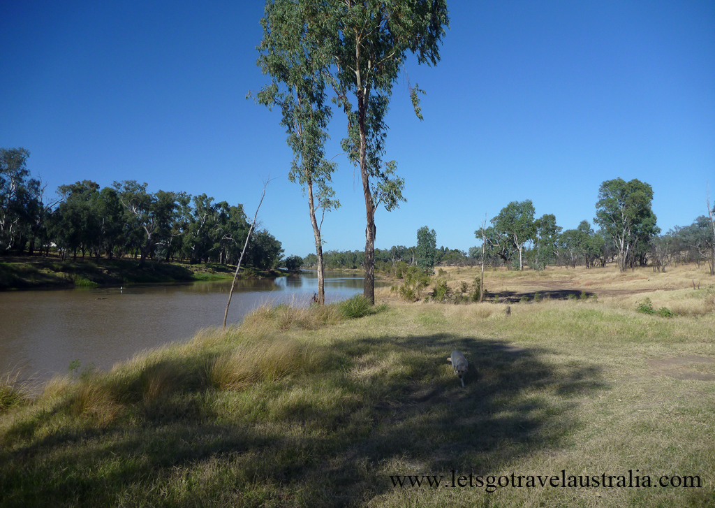 Camp-area-at-Balonne-River-St-George