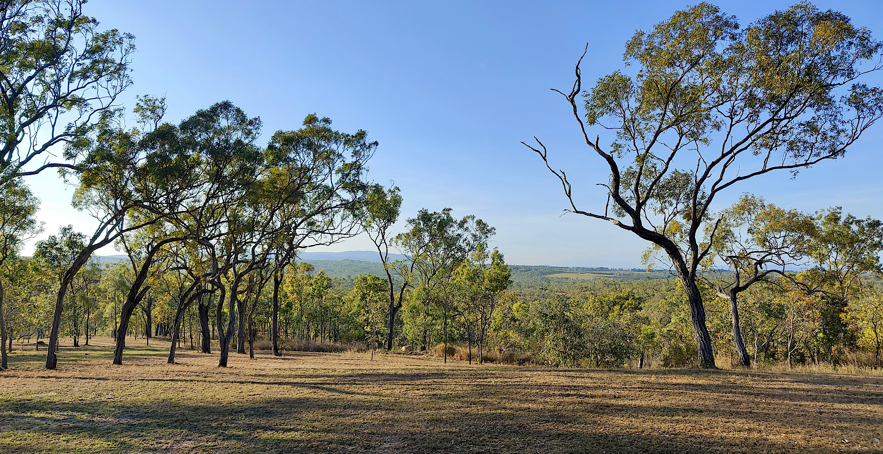 Mareeba Bush Stays